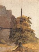 Albrecht Durer A Tree in a Quarry Sweden oil painting artist